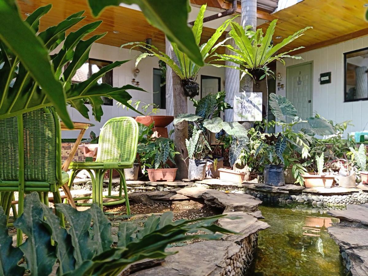 Infinite Green Pension Puerto Princesa Exteriér fotografie
