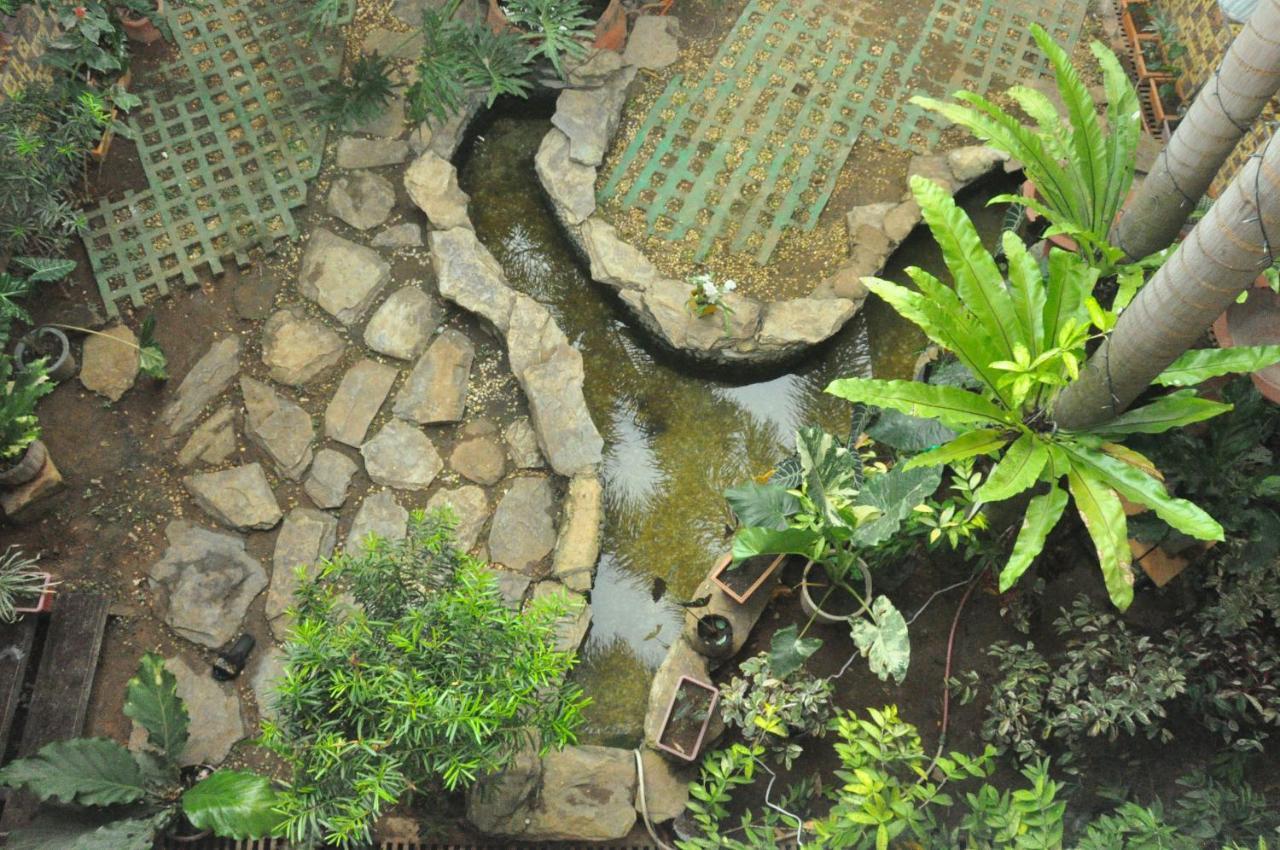 Infinite Green Pension Puerto Princesa Exteriér fotografie
